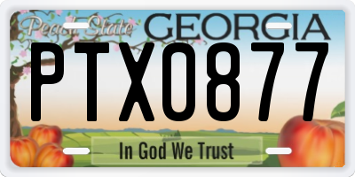 GA license plate PTX0877