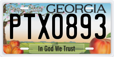 GA license plate PTX0893