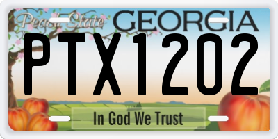 GA license plate PTX1202