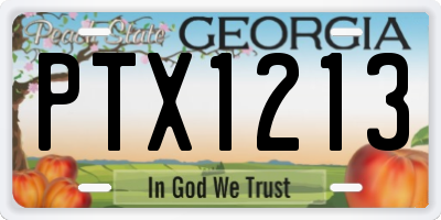 GA license plate PTX1213
