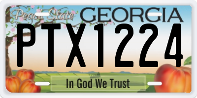 GA license plate PTX1224