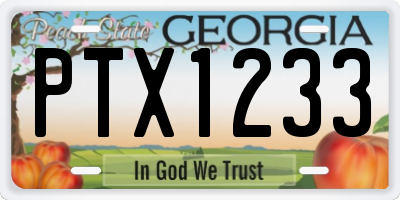 GA license plate PTX1233
