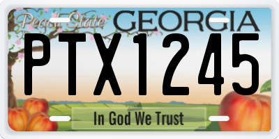 GA license plate PTX1245