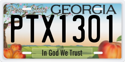 GA license plate PTX1301
