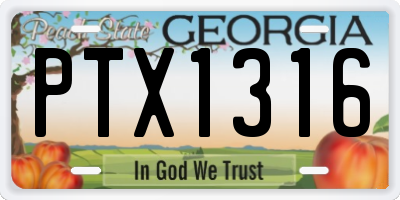 GA license plate PTX1316