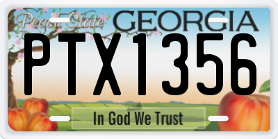 GA license plate PTX1356
