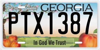 GA license plate PTX1387