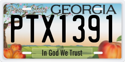 GA license plate PTX1391