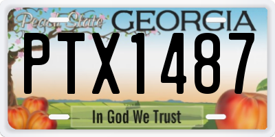 GA license plate PTX1487