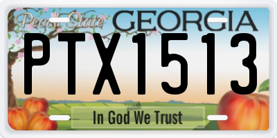 GA license plate PTX1513