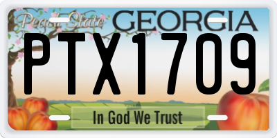 GA license plate PTX1709