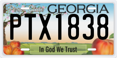 GA license plate PTX1838