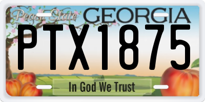 GA license plate PTX1875