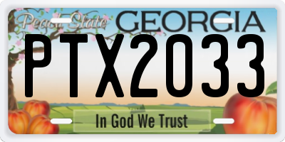 GA license plate PTX2033