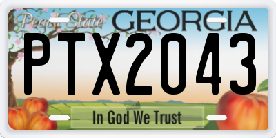GA license plate PTX2043