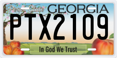 GA license plate PTX2109