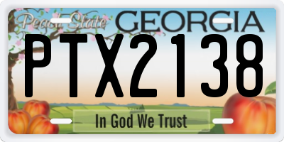 GA license plate PTX2138