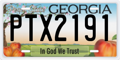 GA license plate PTX2191