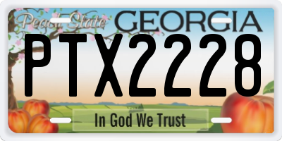 GA license plate PTX2228