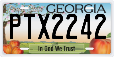 GA license plate PTX2242