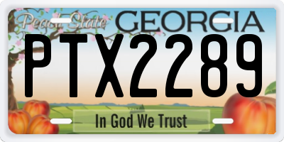 GA license plate PTX2289