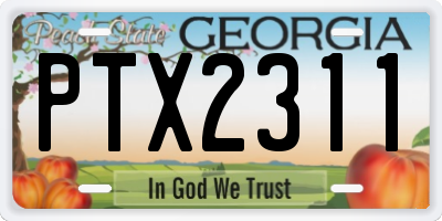 GA license plate PTX2311
