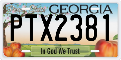 GA license plate PTX2381