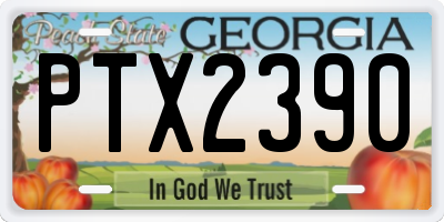 GA license plate PTX2390