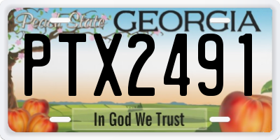 GA license plate PTX2491