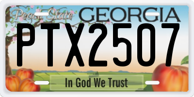 GA license plate PTX2507