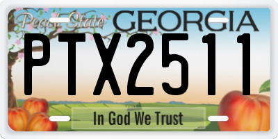 GA license plate PTX2511