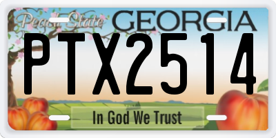 GA license plate PTX2514