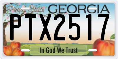 GA license plate PTX2517
