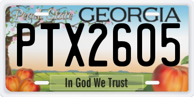 GA license plate PTX2605