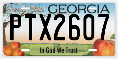 GA license plate PTX2607