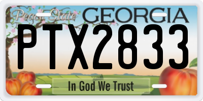 GA license plate PTX2833
