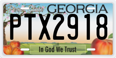 GA license plate PTX2918