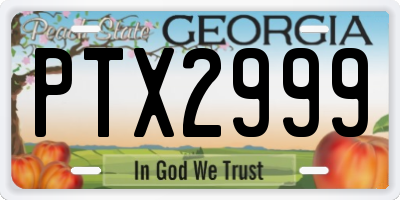 GA license plate PTX2999
