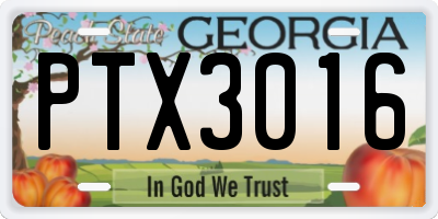 GA license plate PTX3016
