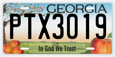 GA license plate PTX3019