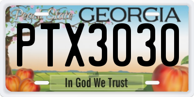 GA license plate PTX3030