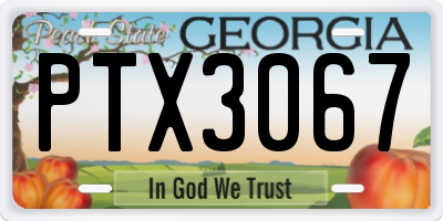 GA license plate PTX3067