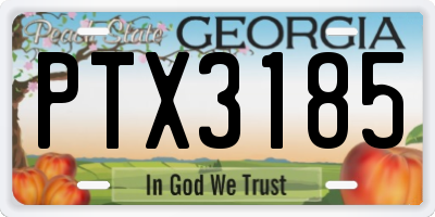 GA license plate PTX3185