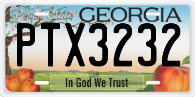 GA license plate PTX3232