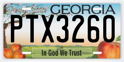 GA license plate PTX3260