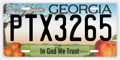GA license plate PTX3265