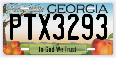 GA license plate PTX3293