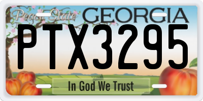 GA license plate PTX3295