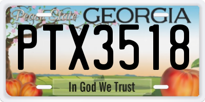 GA license plate PTX3518