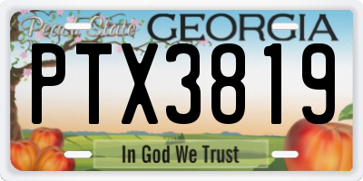 GA license plate PTX3819